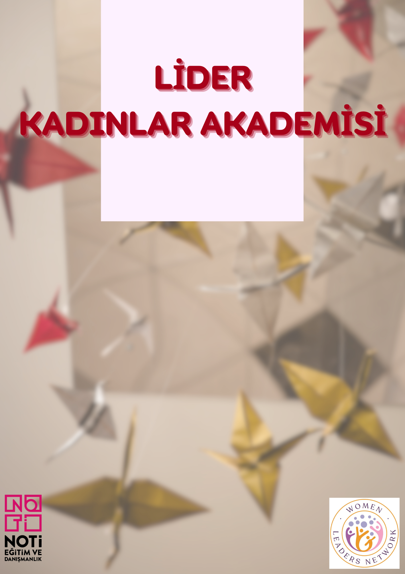 Lider Kadınlar Akademisi